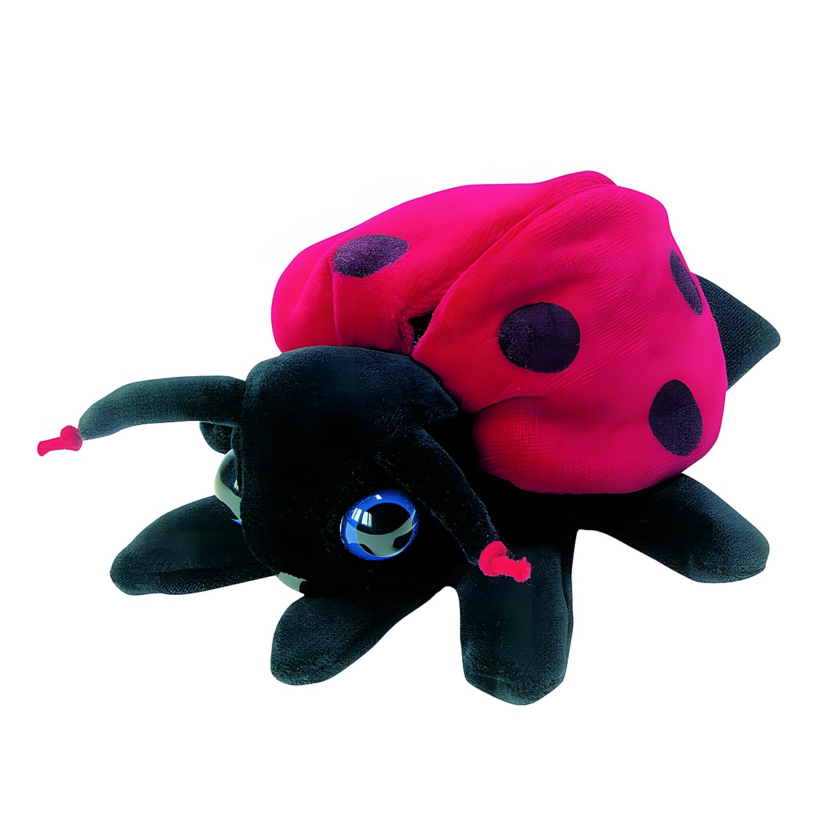 Beleduc hand puppet ladybird with a red shell, black spots and antennae