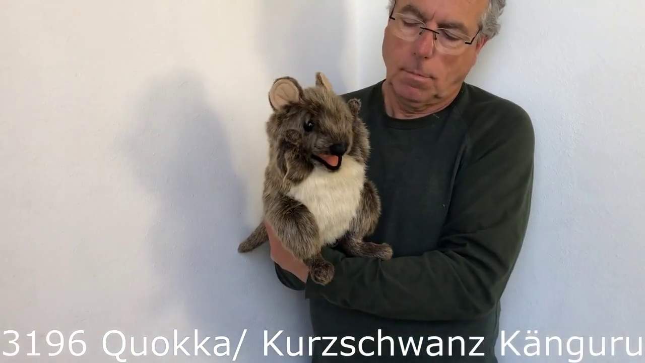 Folkmanis Quokka Hand Puppet Demo 2