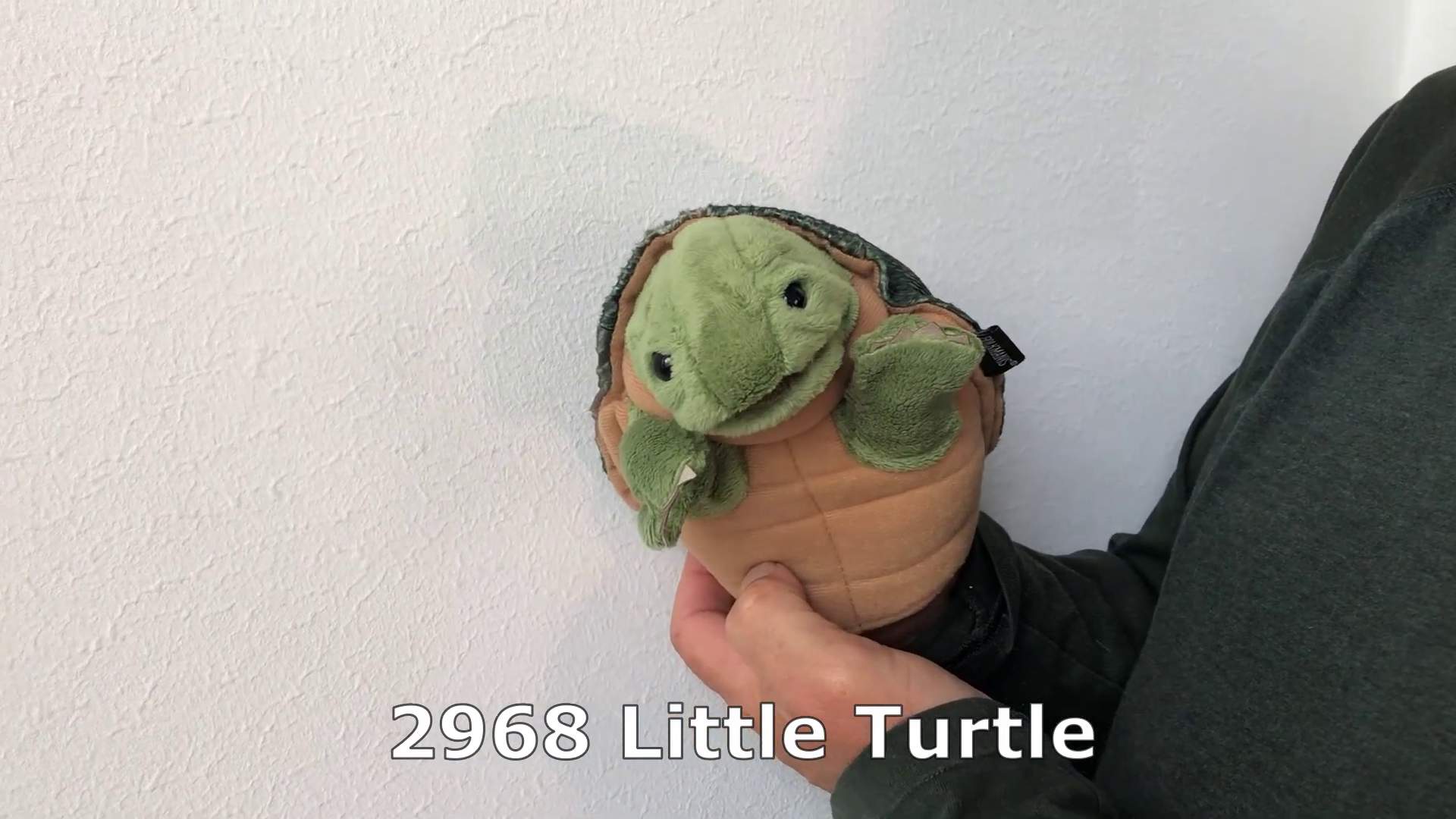 267263_6 267263_6