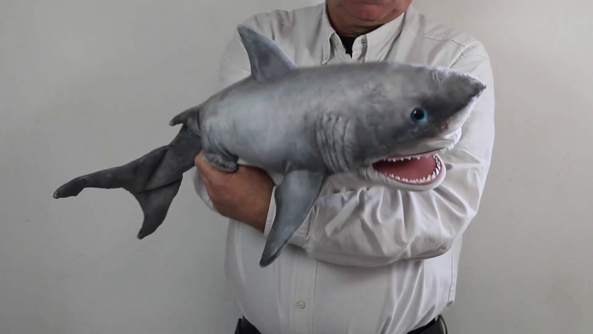 Folkmanis Great White Shark Hand Puppet Demo