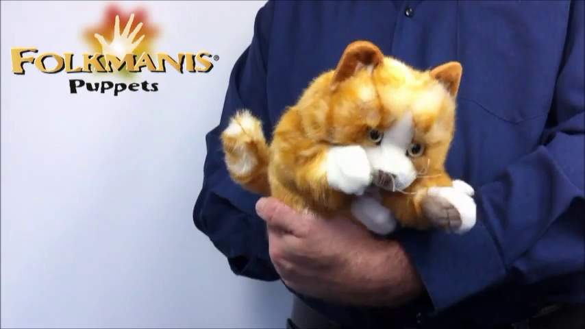 Folkmanis Orange Tabby Kitten Hand Puppet Demo 2