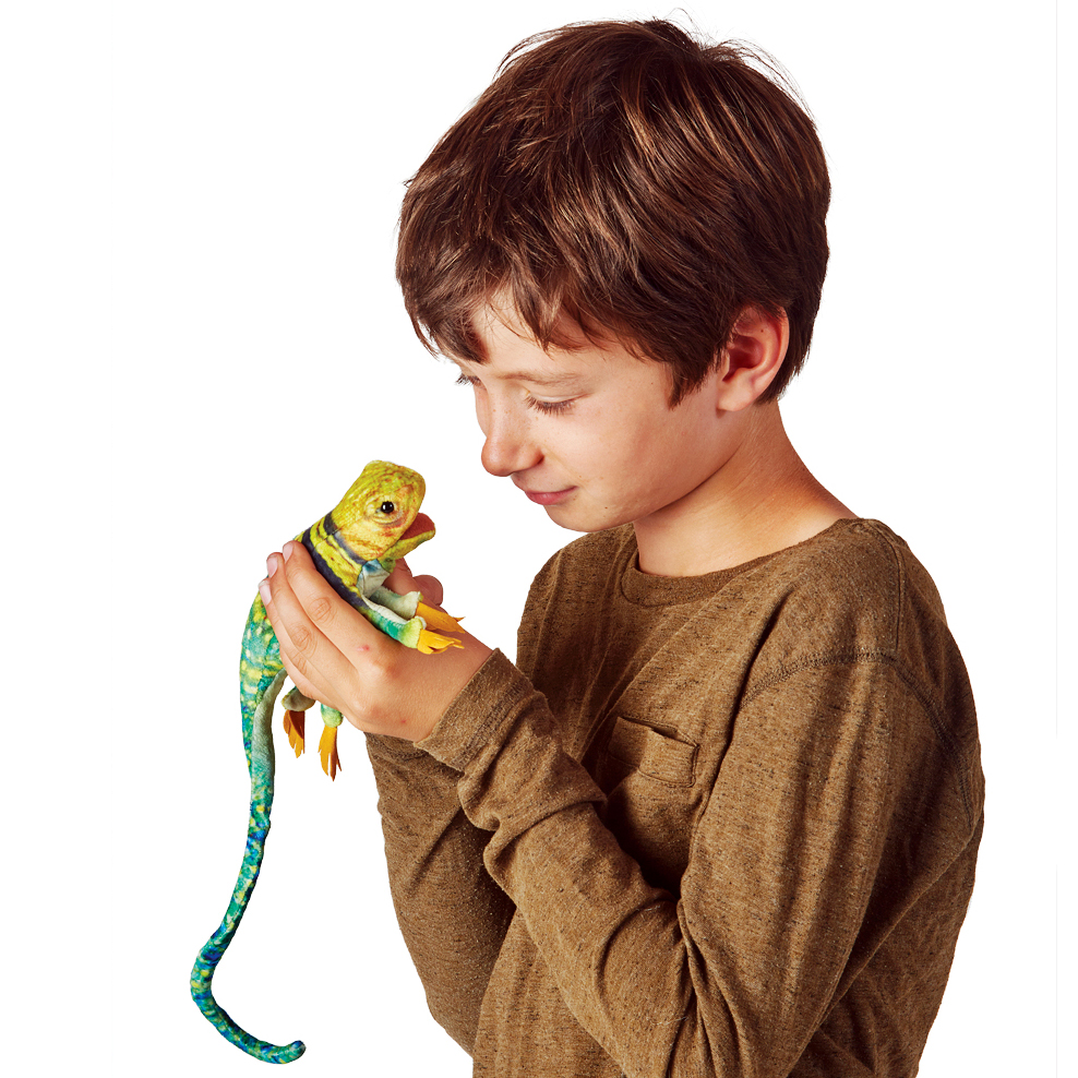 Boy holding a Folkmanis mini collared lizard finger puppet in yellow, green, and blue colouring with a long tail in his hands