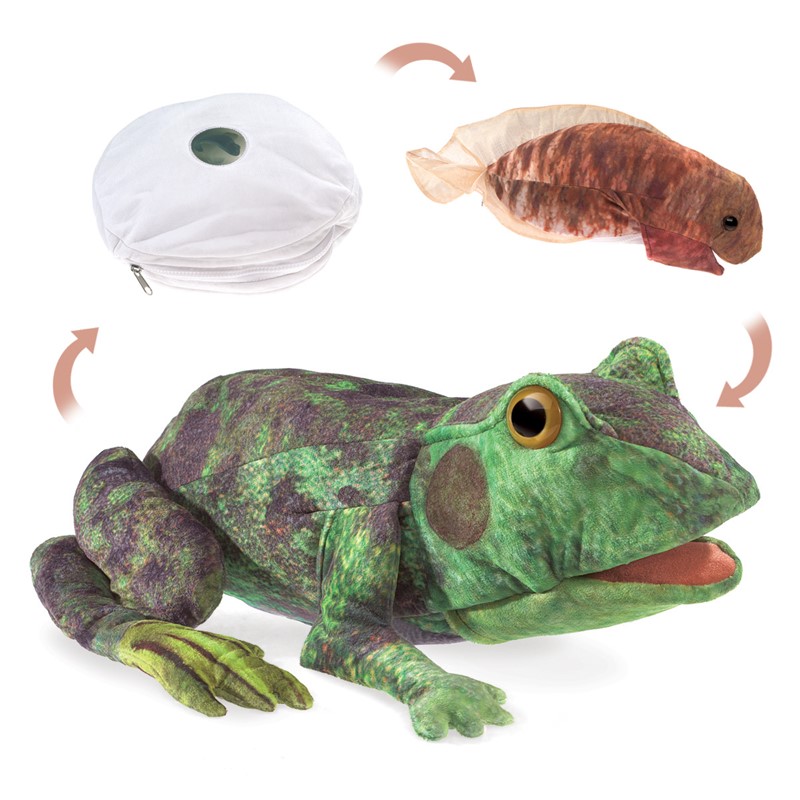 Folkmanis hand puppet frog metamorphosis in three life stages: egg, tadpole, and fully grown green frog with movable mouth