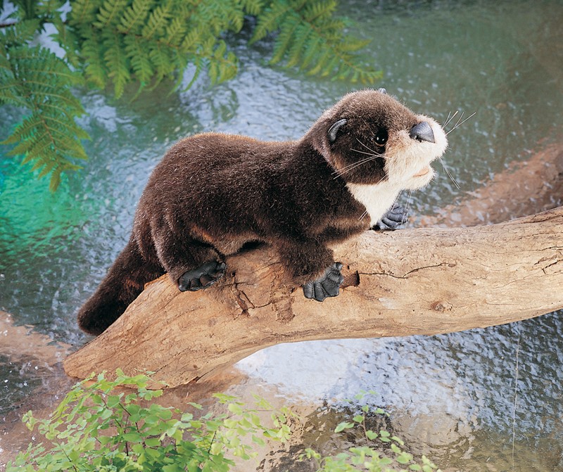 Folkmanis river otter hand puppet in dark brown plush with a light throat patch, positioned on a branch over water, side view
