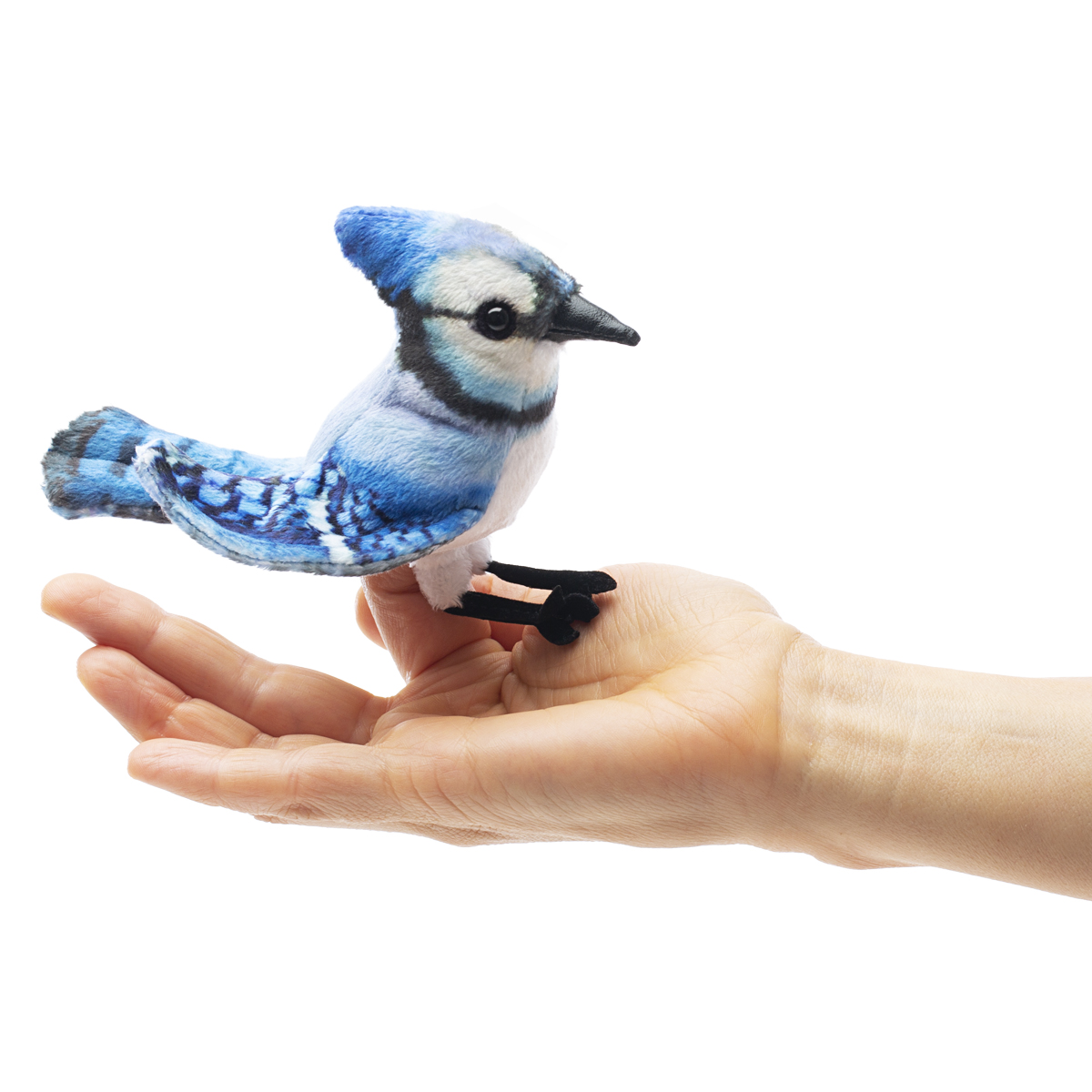 Folkmanis Mini Blue Jay Finger Puppet - Produktbild 3