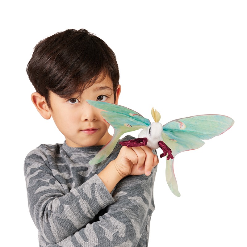 Boy holding a Folkmanis mini luna moth finger puppet with green-teal wings and a white body on his finger