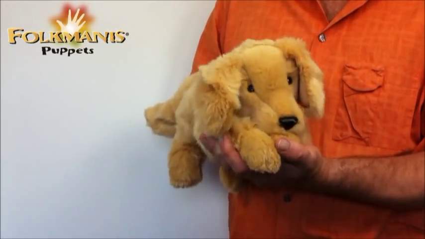 Folkmanis Golden Retriever Puppy Hand Puppet Demo 2