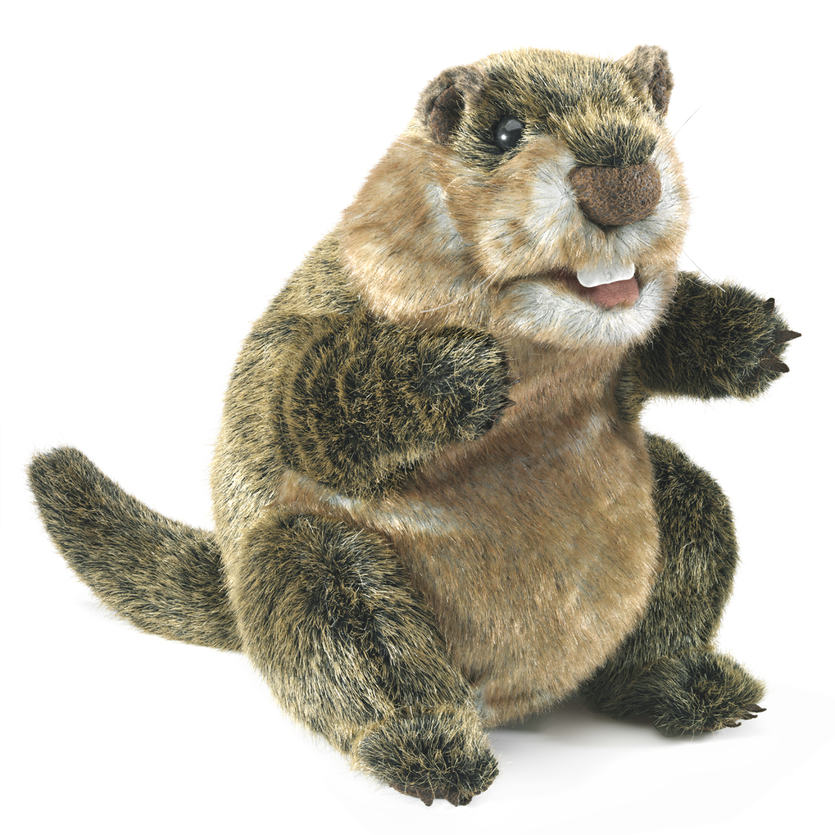 Folkmanis groundhog hand puppet in brown-grey fur, sitting upright with open mouth and raised front paws