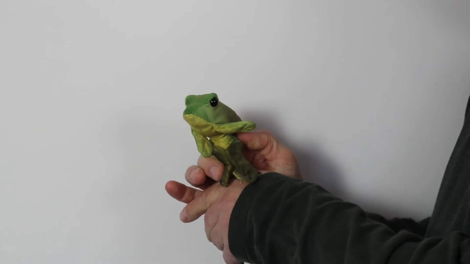 Folkmanis Mini Sitting Frog Finger Puppet Demo
