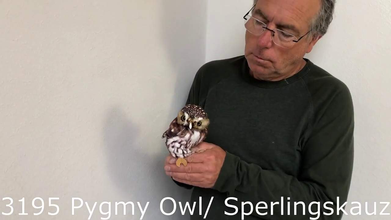 Folkmanis Pygmy Owl Hand Puppet Demo 2