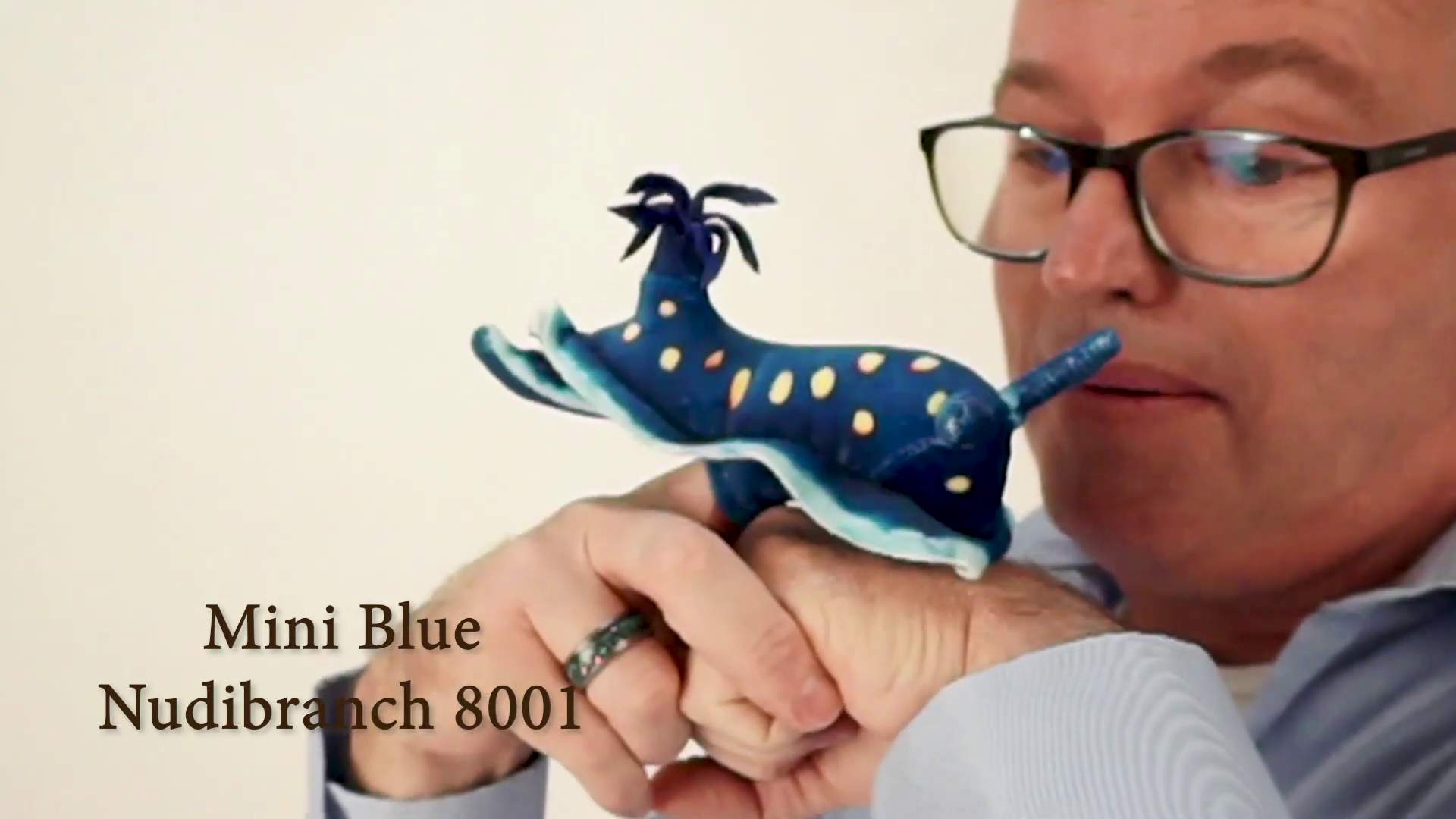 Folkmanis Mini Blue Nudibranch Finger Puppet Demo