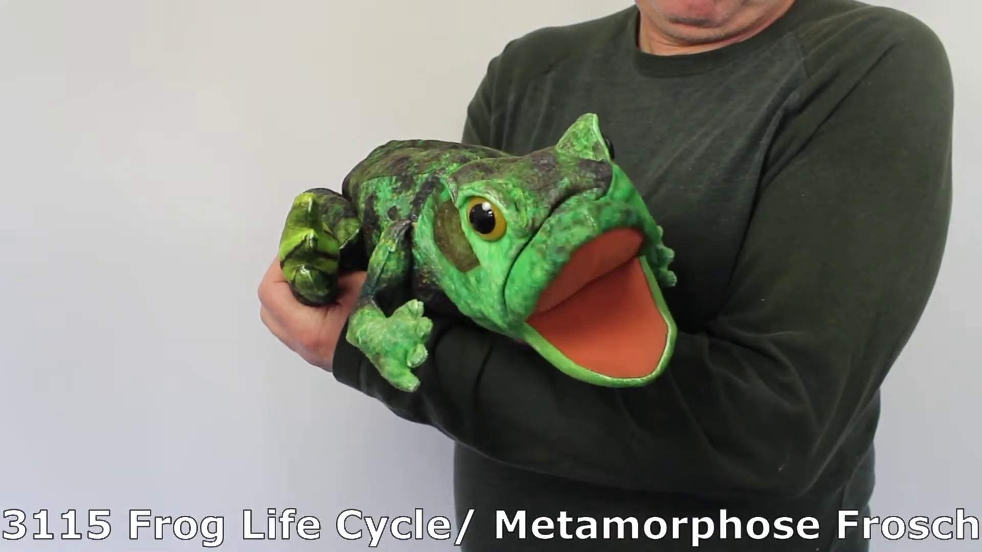Folkmanis Frog Life Cycle Hand Puppet Demo