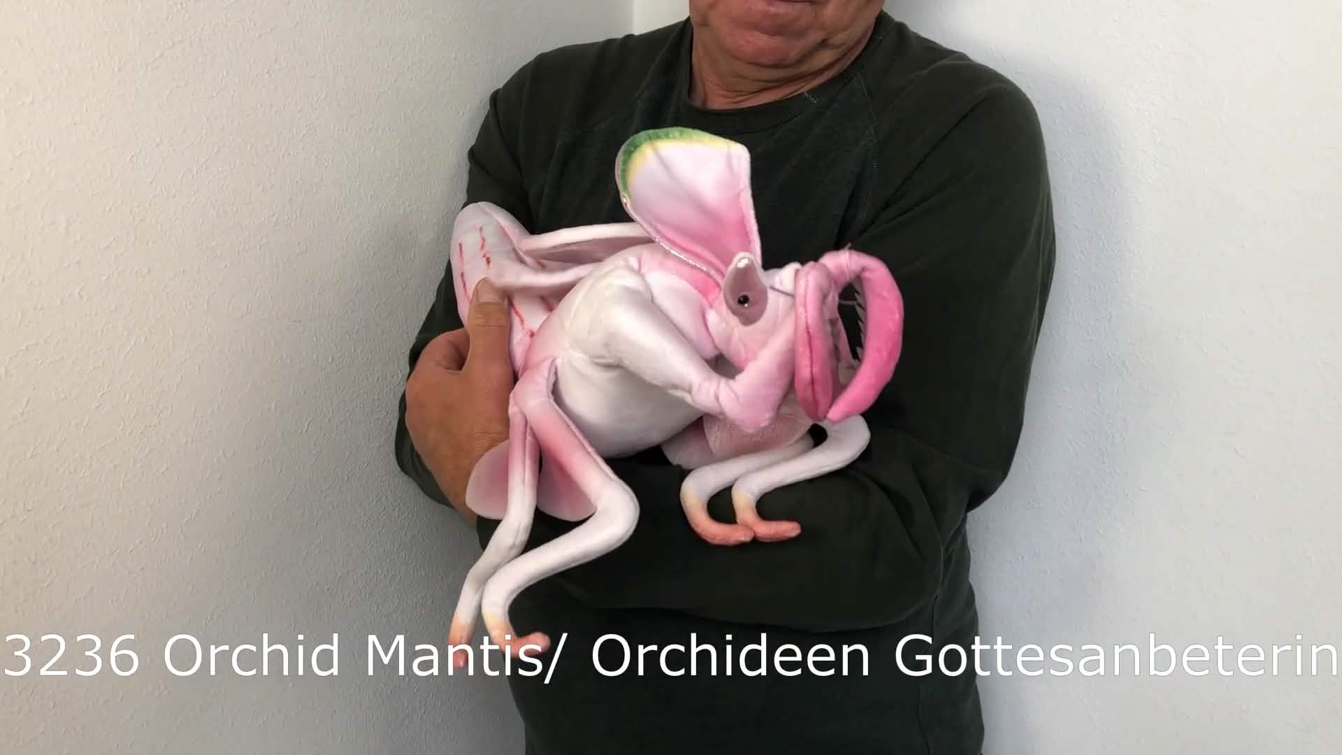 Folkmanis Orchid Mantis Hand Puppet Demo