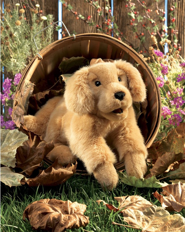 Folkmanis Golden Retriever puppy hand puppet in golden plush, peering out of a wicker basket surrounded by autumn leaves