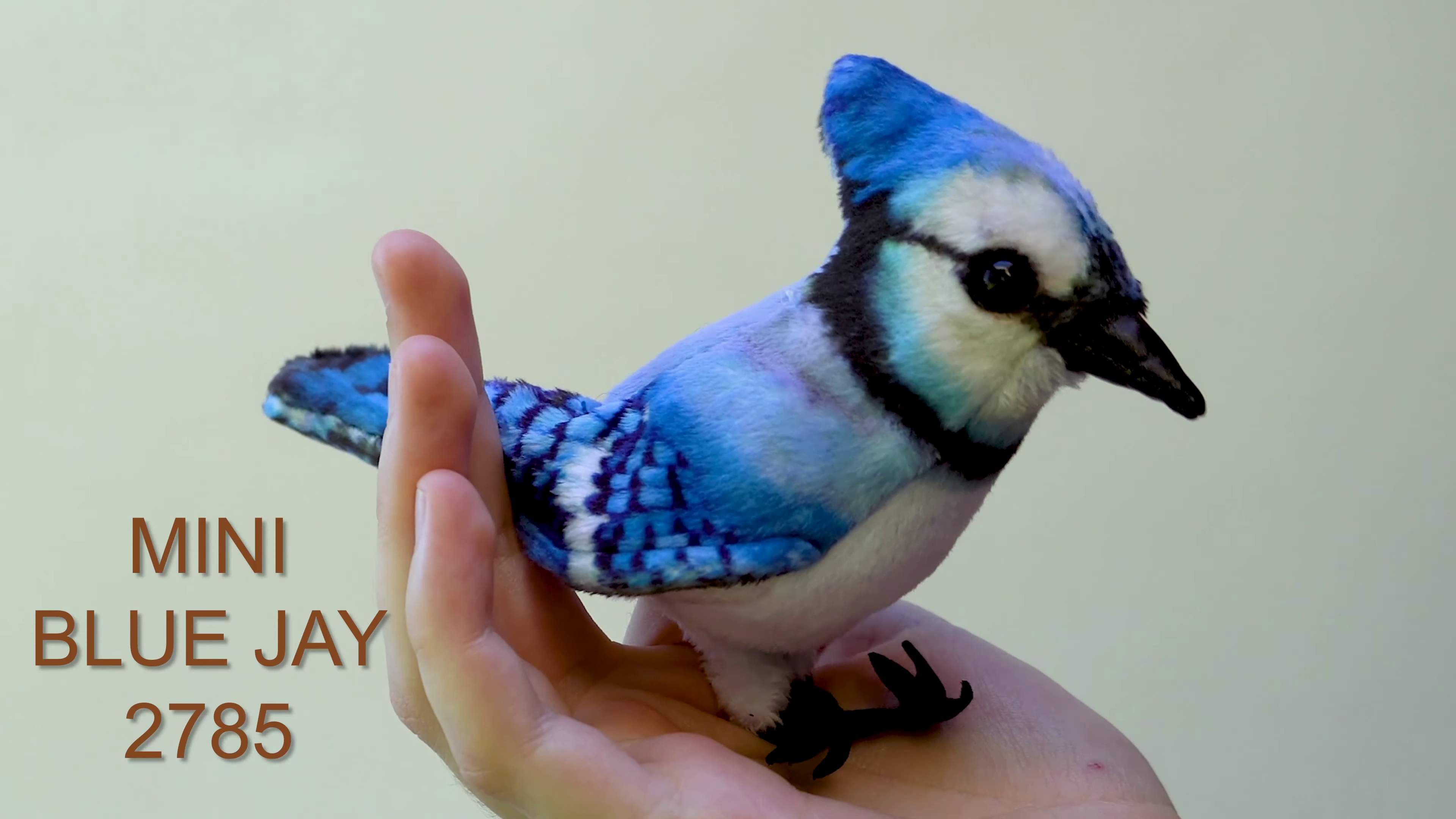 Folkmanis Mini Blue Jay Finger Puppet Demo