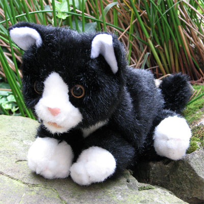 Living Puppets hand puppet black and white cat lying on a stone with grasses in the background, outdoor shot