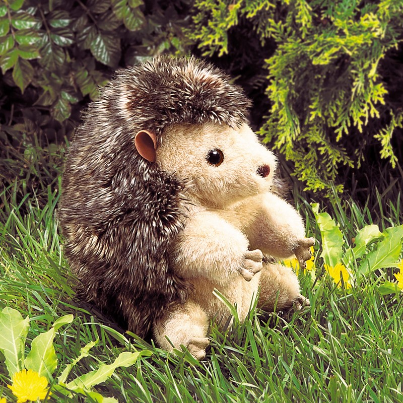 Folkmanis hedgehog hand puppet with a dark brown spiny back and light beige belly fur, sitting upright in grass