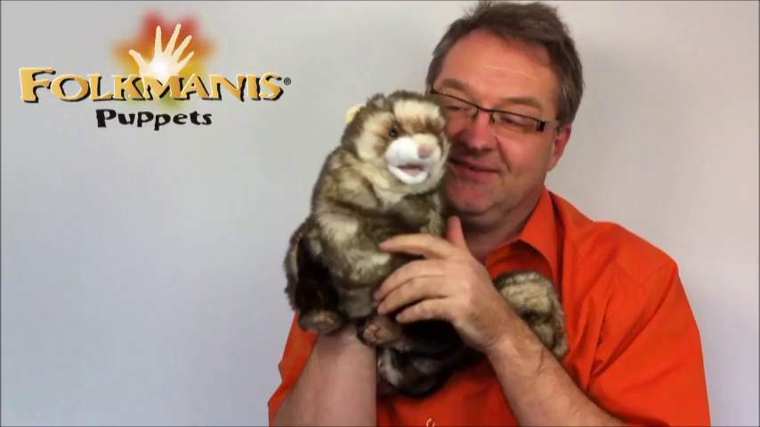 Folkmanis Ferret Hand Puppet Demo 2