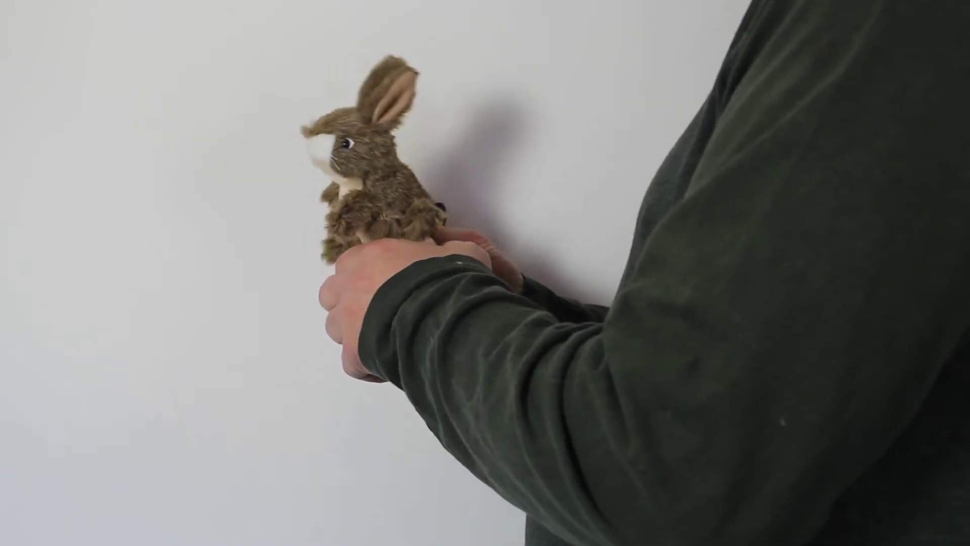 Folkmanis Mini Jack Rabbit Finger Puppet Demo