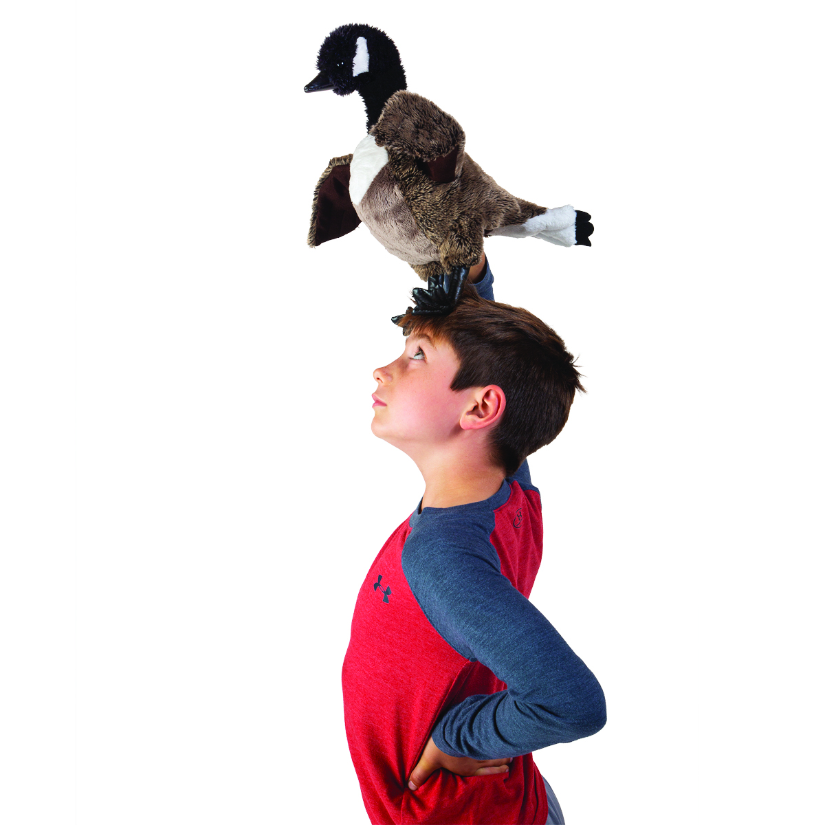 Folkmanis Canada Goose Hand Puppet - Produktbild 5