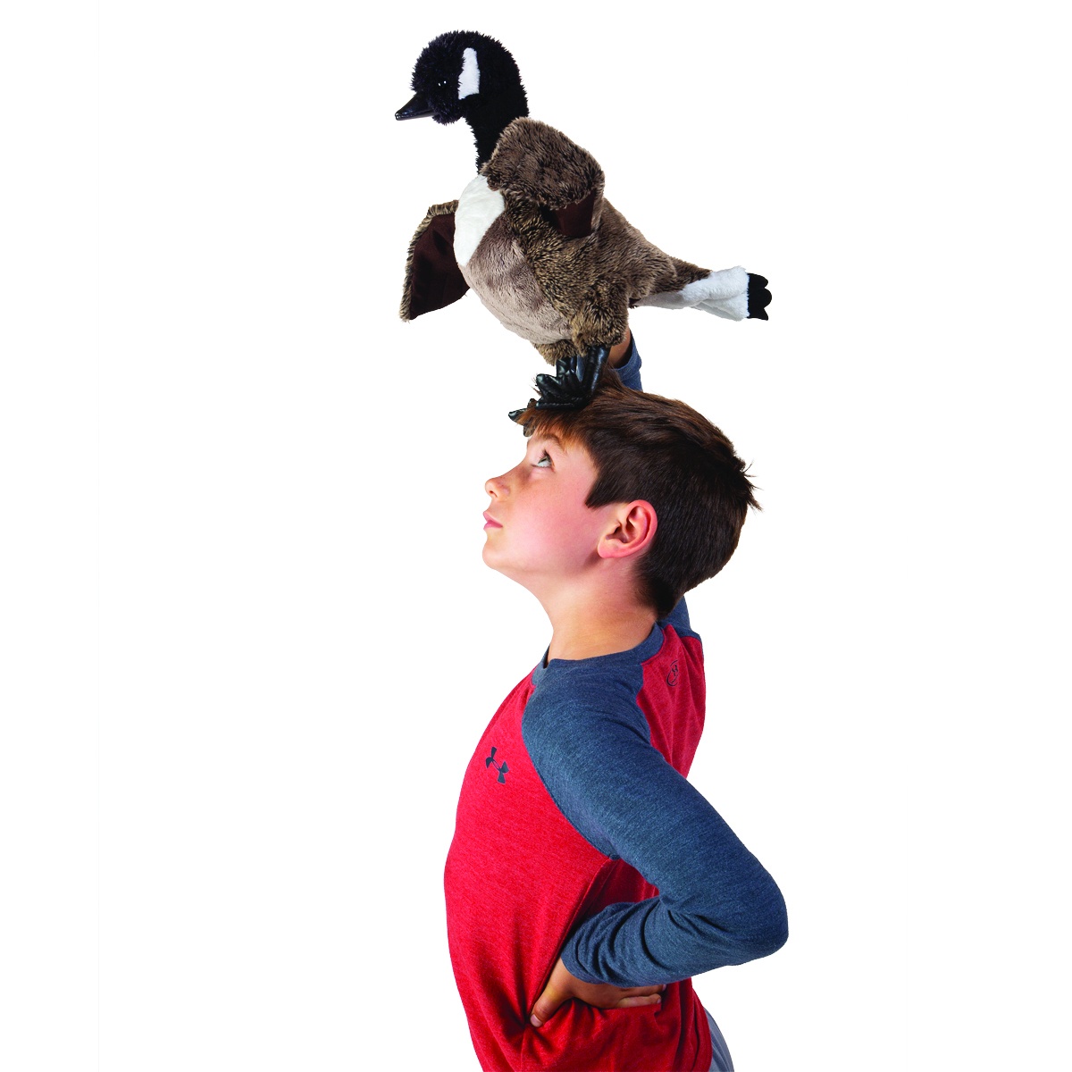Folkmanis Canada Goose hand puppet with black head and brown plumage, balanced on a boy's head