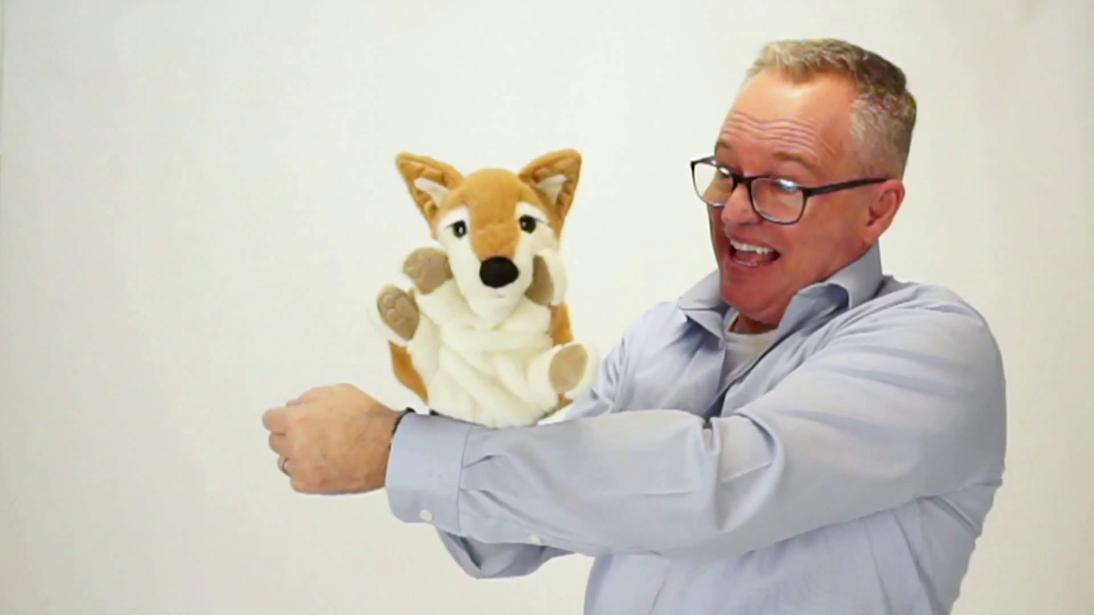 Folkmanis Shiba Inu Puppy Hand Puppet Demo