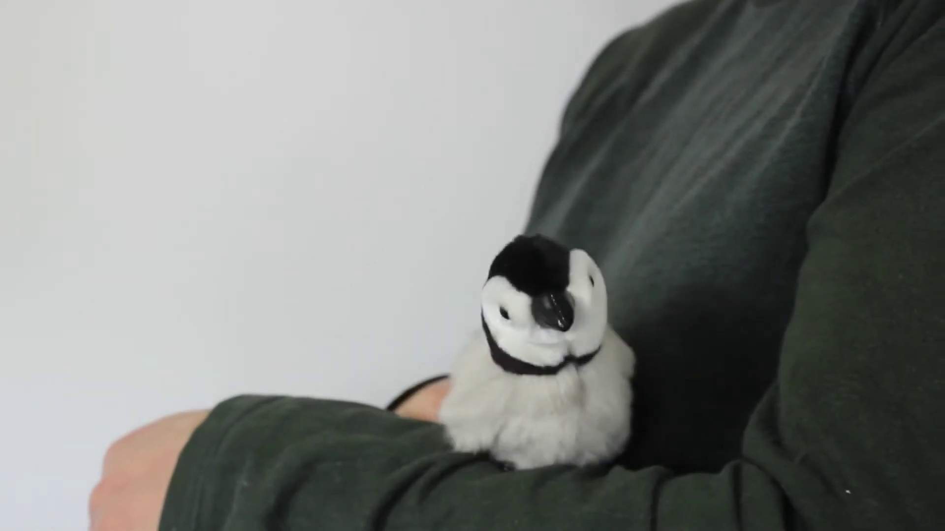 Folkmanis Mini Baby Emperor Penguin Finger Puppet Demo 2
