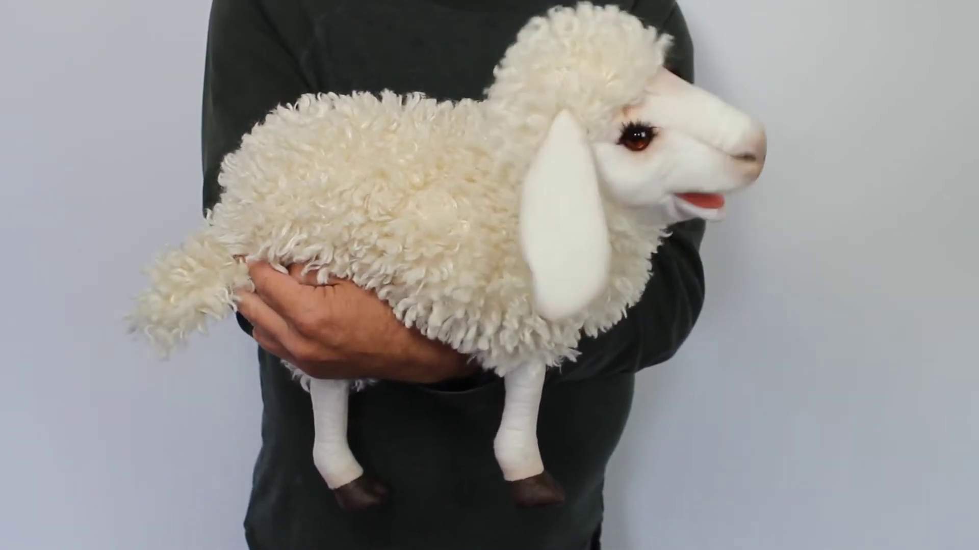 Folkmanis Woolly Sheep Hand Puppet Demo