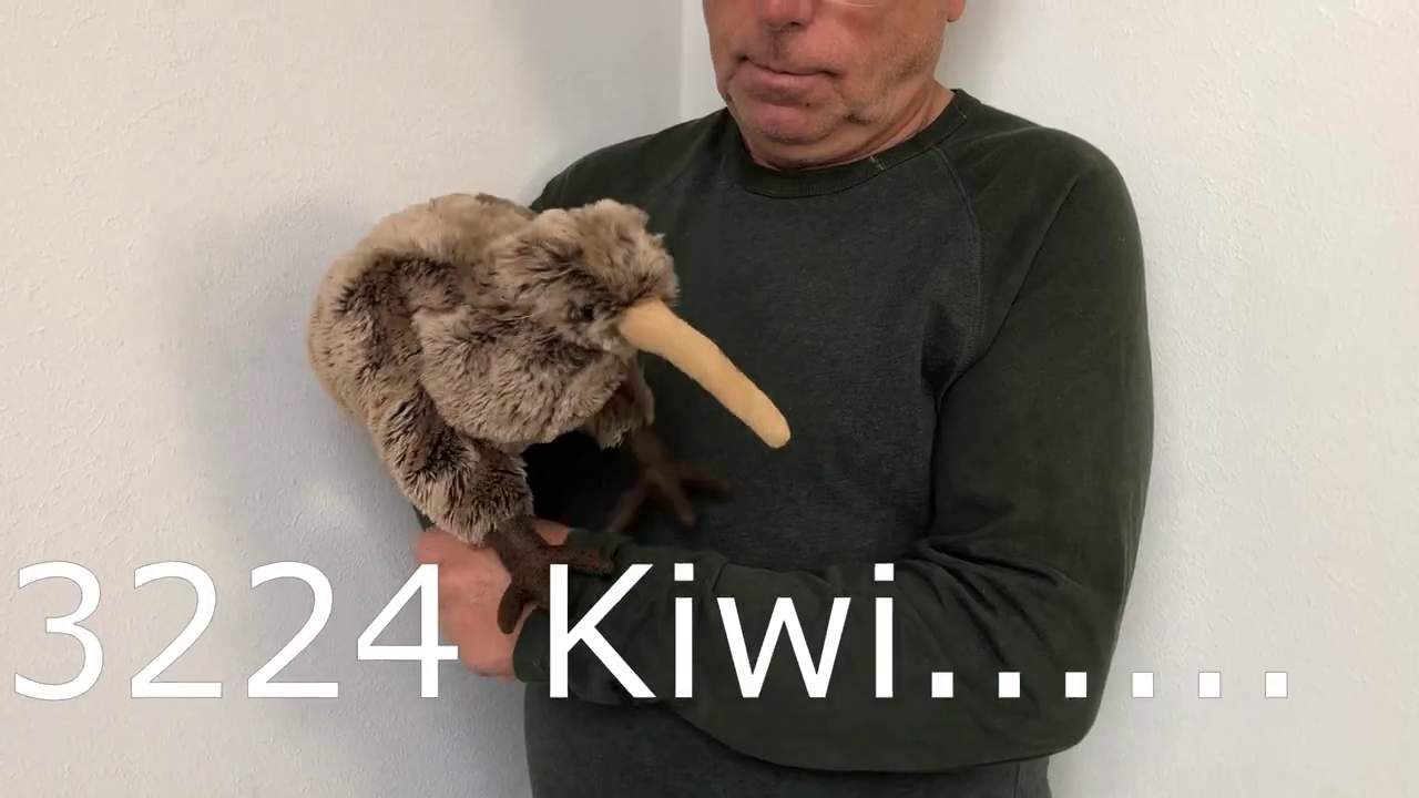 Folkmanis Kiwi Hand Puppet Demo