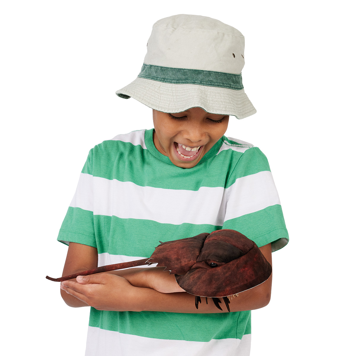 Folkmanis Horseshoe Crab Hand Puppet - Produktbild 3