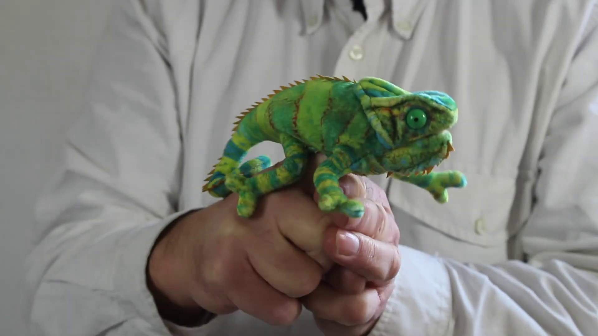 Folkmanis Mini Chameleon Finger Puppet Demo