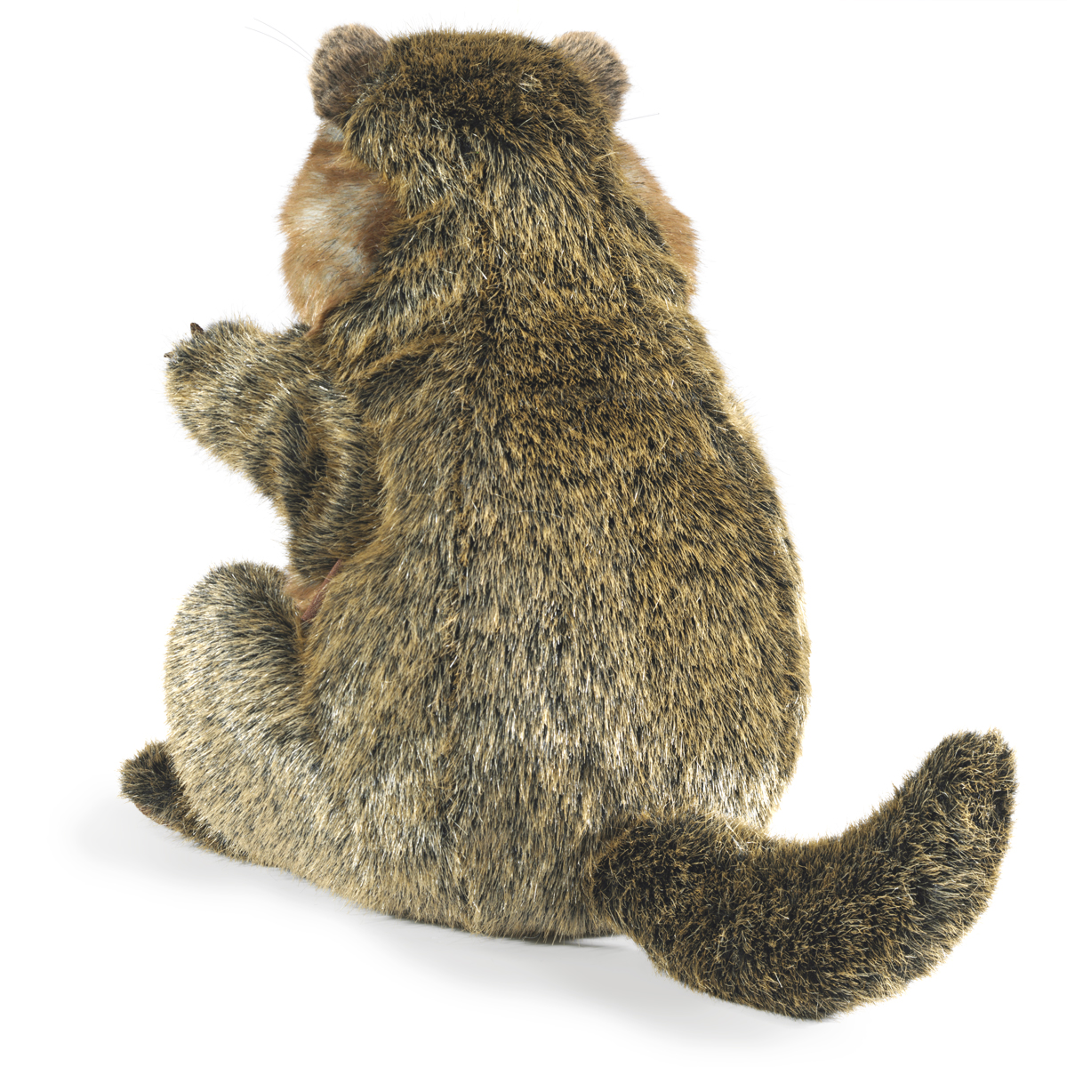 Folkmanis groundhog hand puppet seen from behind, sitting, with a bushy tail and brown-grey fur