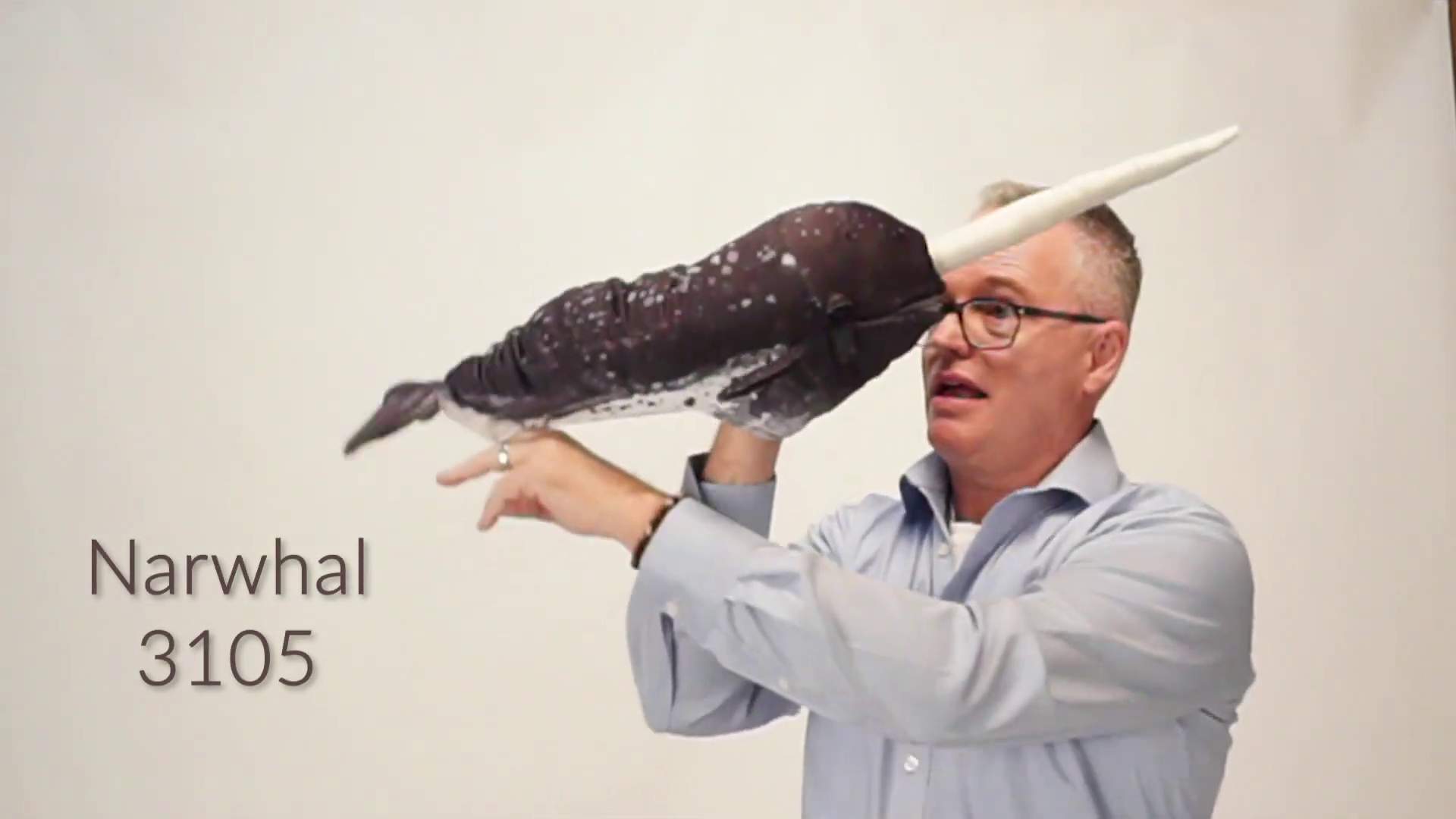 Folkmanis Narwhal Hand Puppet Demo 2