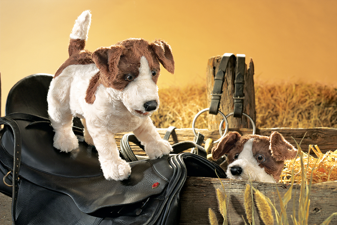 Two Folkmanis Jack Russell Terrier hand puppets in white and brown, one standing on a riding saddle, the other peeking out of a wooden crate filled with straw