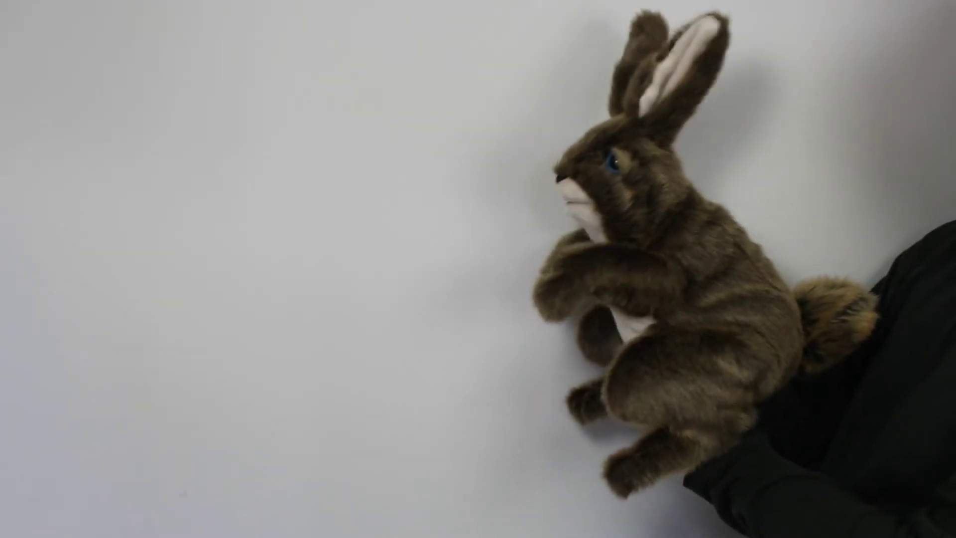Folkmanis Hare Hand Puppet Demo 2