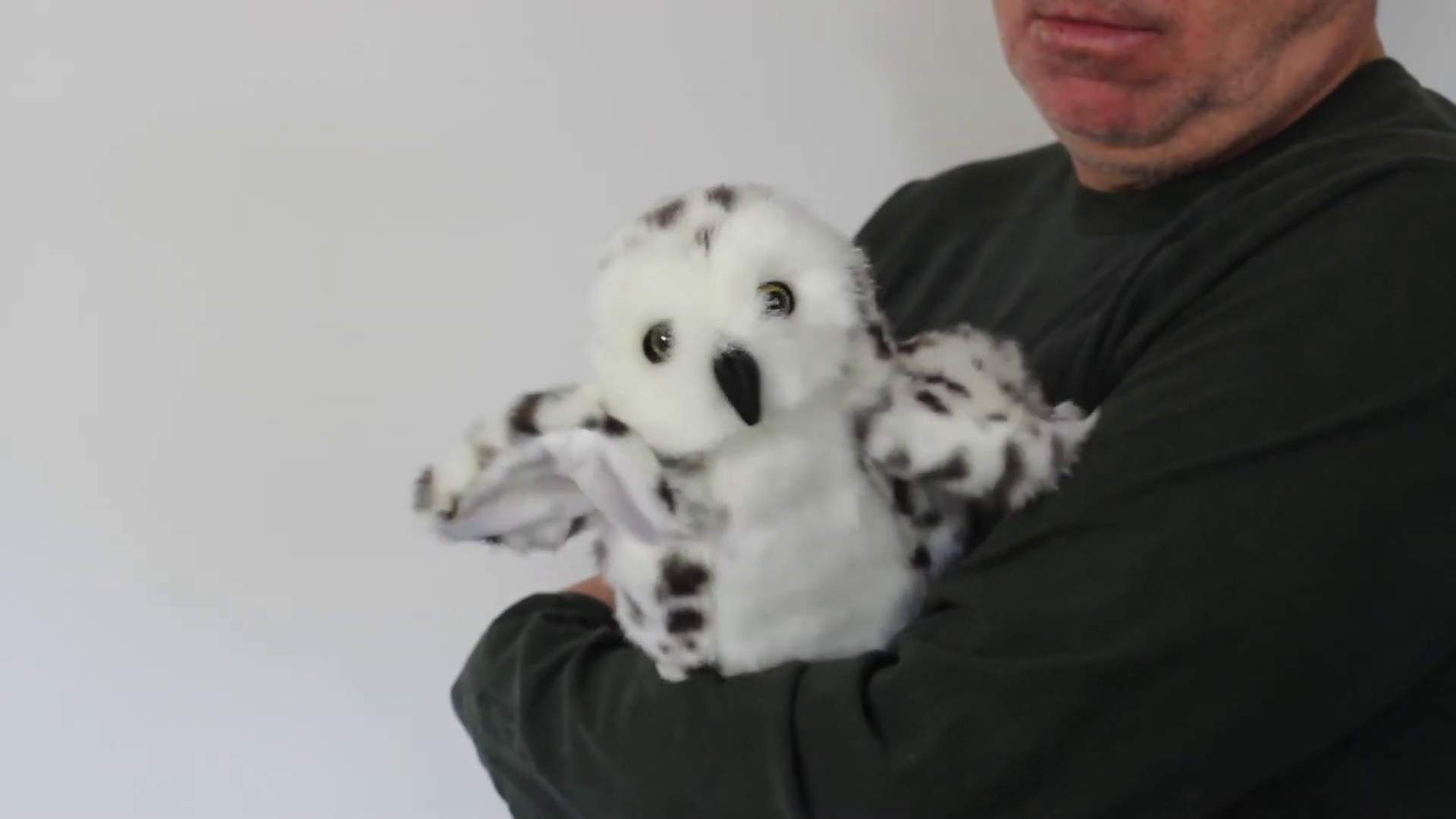 Folkmanis Little Snowy Owl Hand Puppet (Small Stage Puppet) Demo