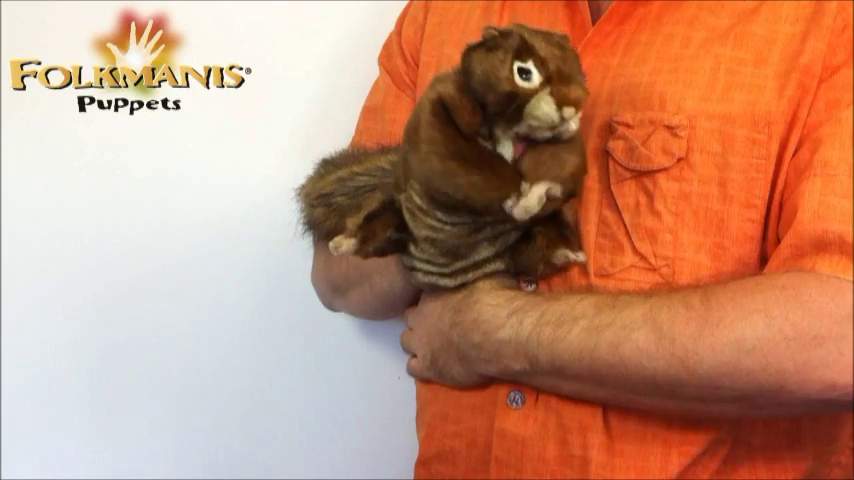 Folkmanis Red Squirrel Hand Puppet Demo 2