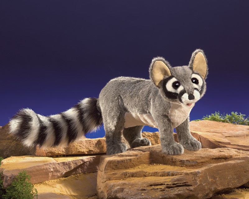 Folkmanis Ringtail Cat Hand Puppet - Produktbild 4