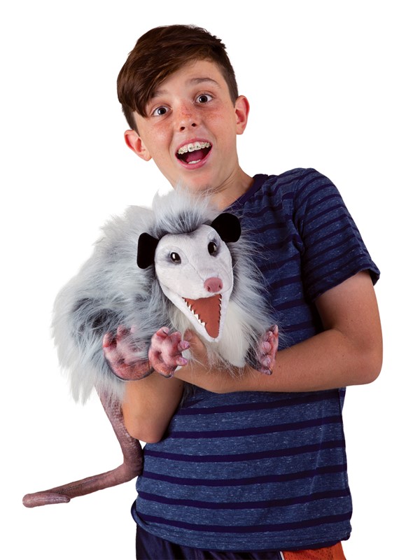 Boy holding a Folkmanis opossum hand puppet with an open mouth and shaggy grey-and-white fur in his arms