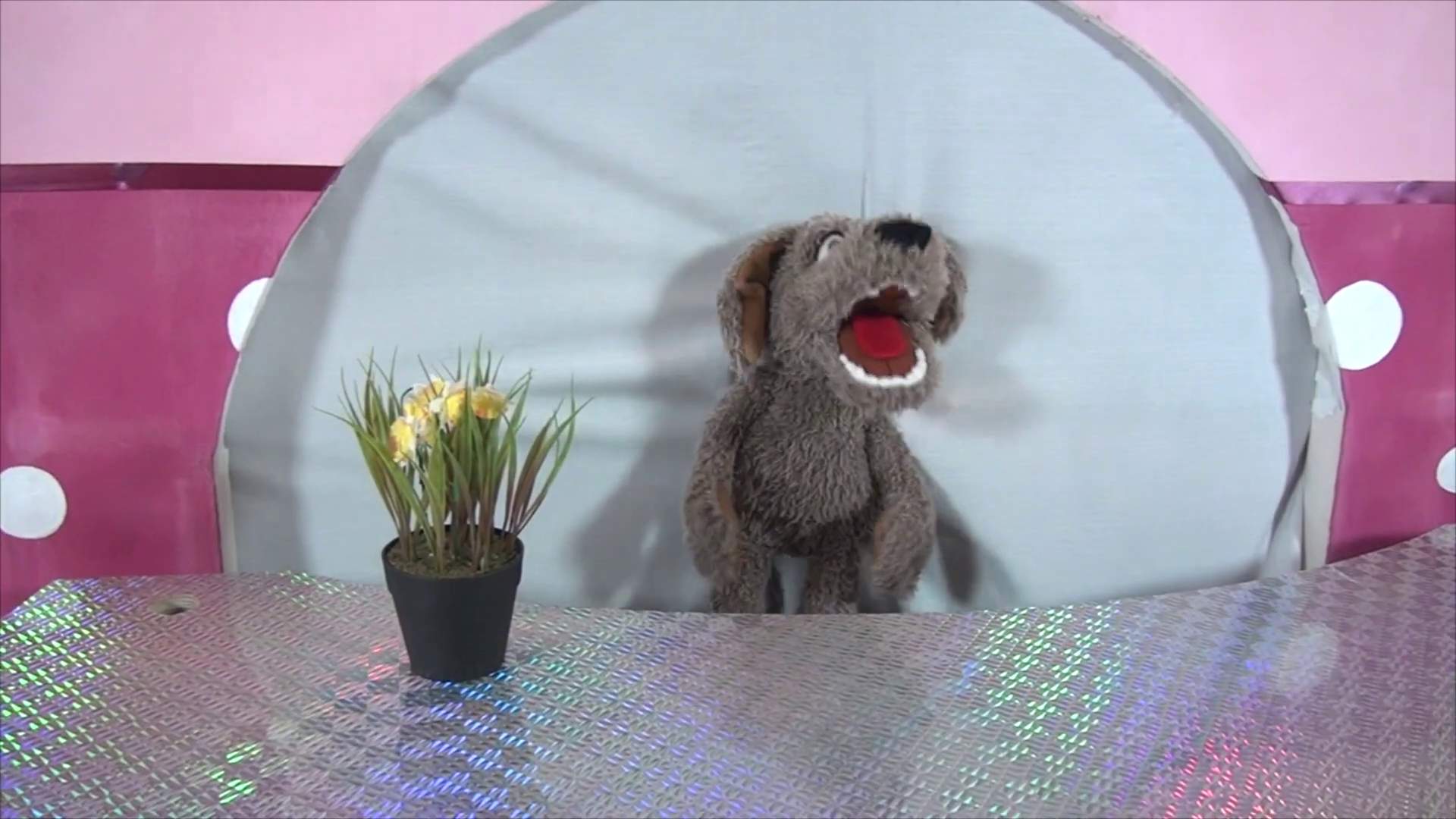 Living Puppets hand puppet Locke the small dog Demo