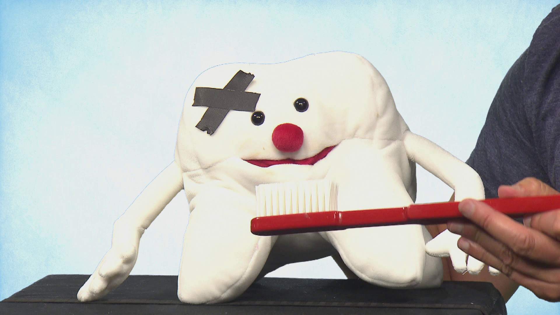 Living Puppets hand puppet molar tooth Demo