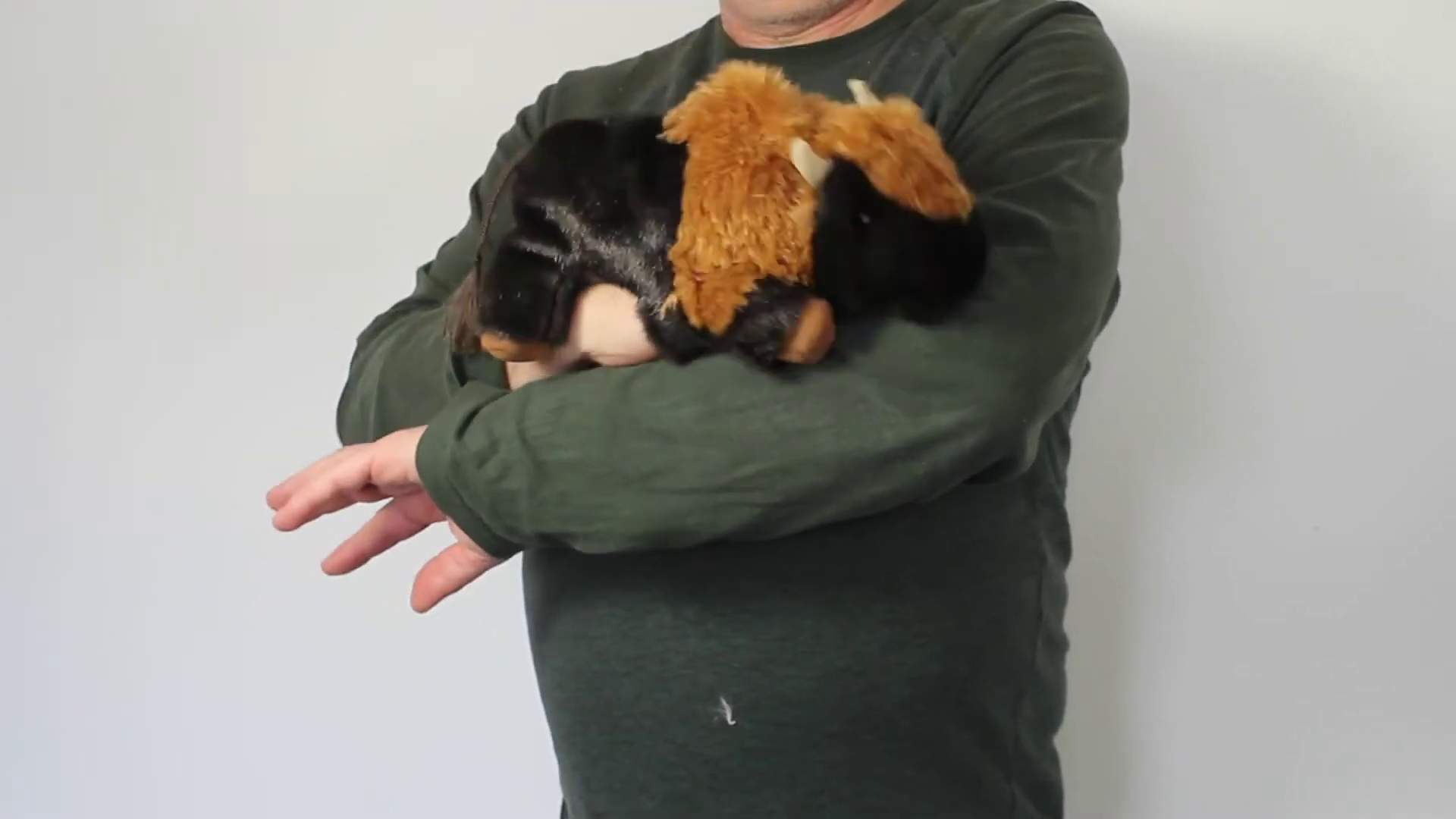 Folkmanis Small Bison Hand Puppet Demo