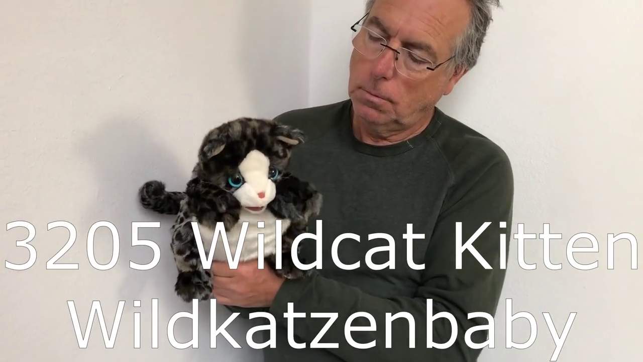 Folkmanis Wildcat Kitten Hand Puppet Demo 2