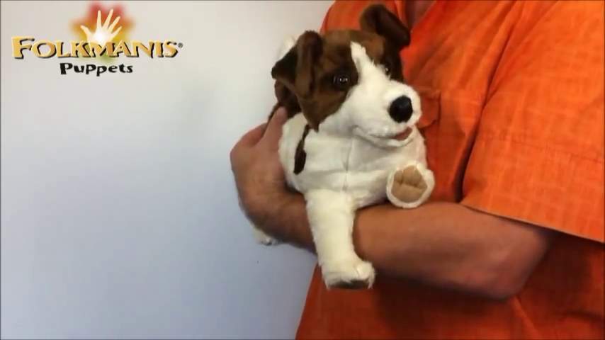 Folkmanis Jack Russell Terrier Hand Puppet Demo 2