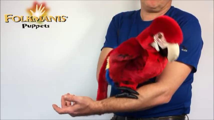 Folkmanis Scarlet Macaw Hand Puppet Demo 2