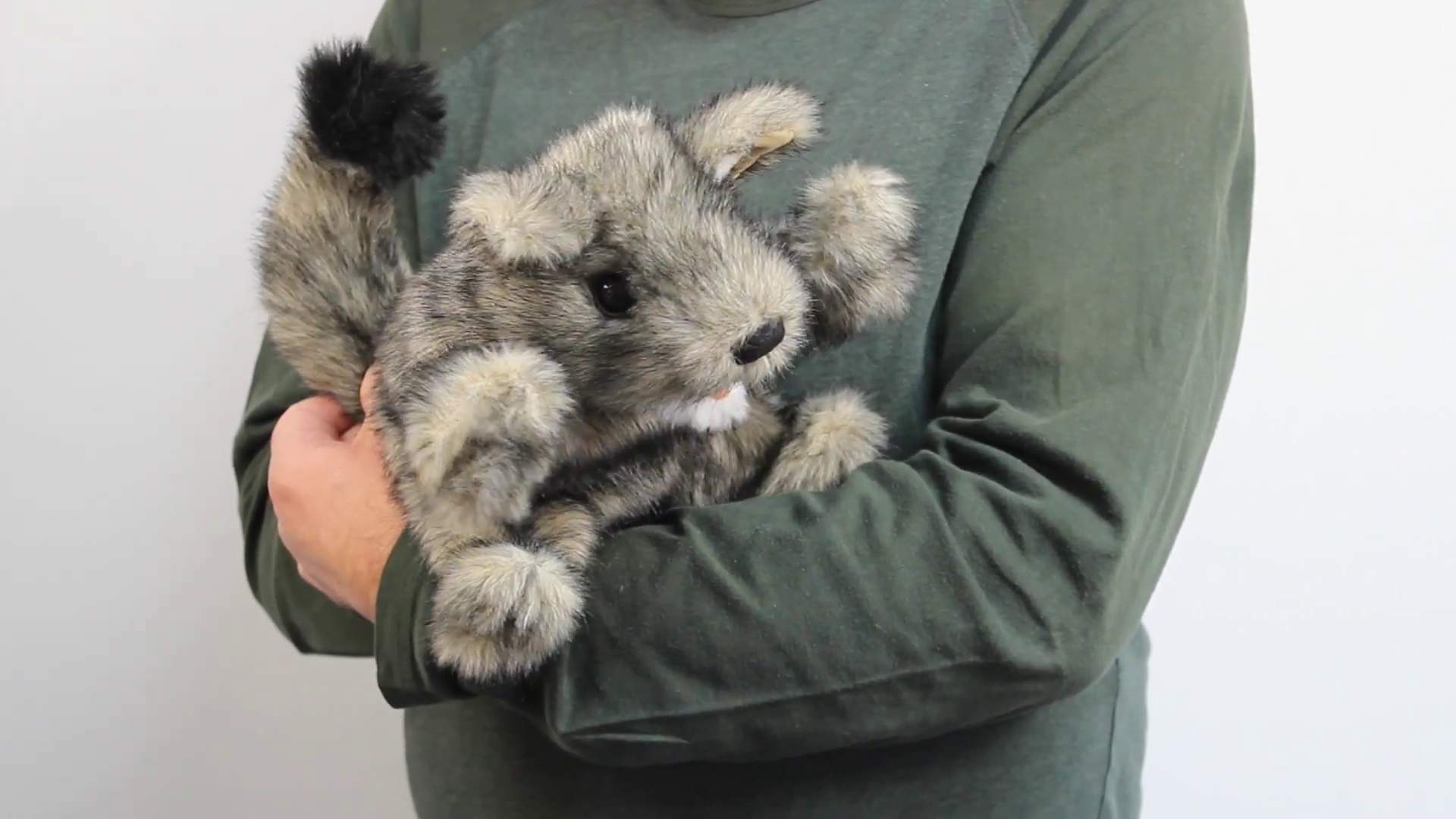 Folkmanis Small Coyote Hand Puppet Demo