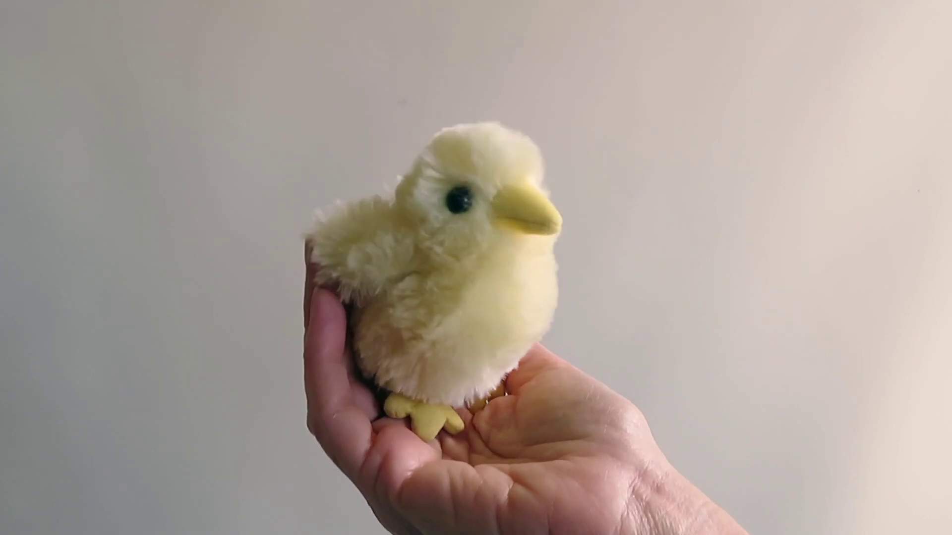 Folkmanis Mini Chick Finger Puppet Demo