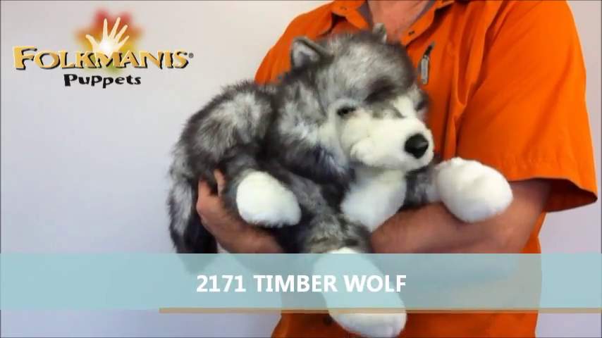 Folkmanis Timber Wolf Hand Puppet Demo 2