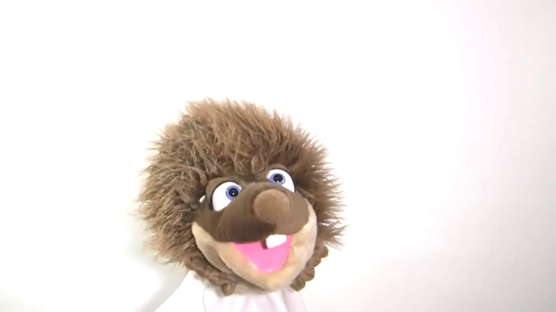 Living Puppets hand puppet Soeren the hedgehog Demo