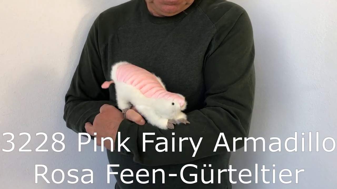 Folkmanis Pink Fairy Armadillo Hand Puppet Demo